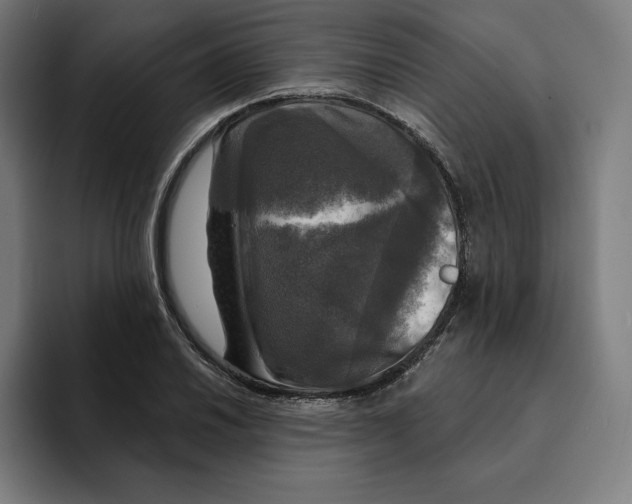 X0000094901030200712271448