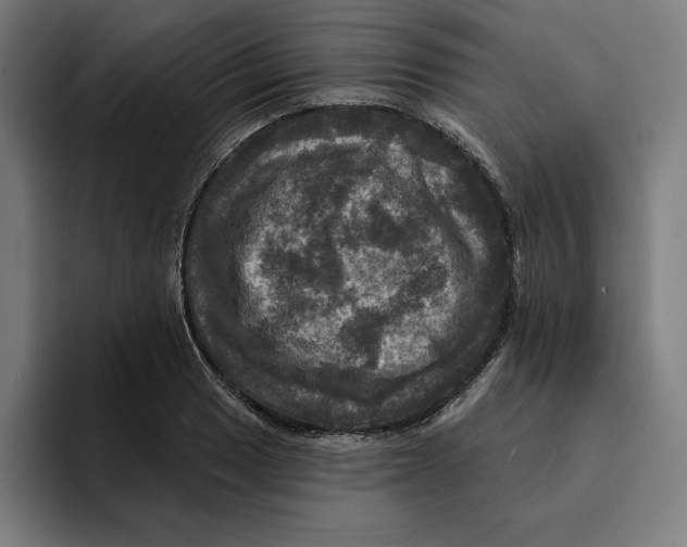 X0000094901033200712271448