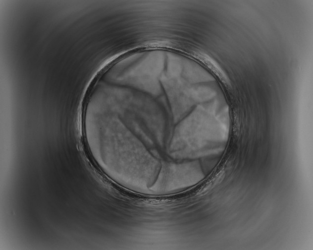 X0000094901036200712271448