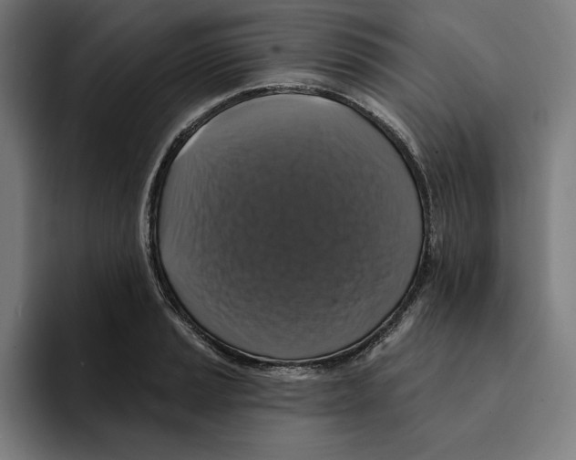 X0000094901037200712271448