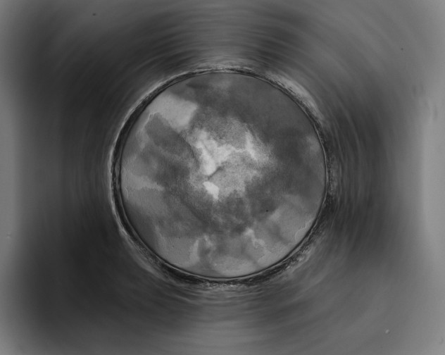 X0000094901039200712271448