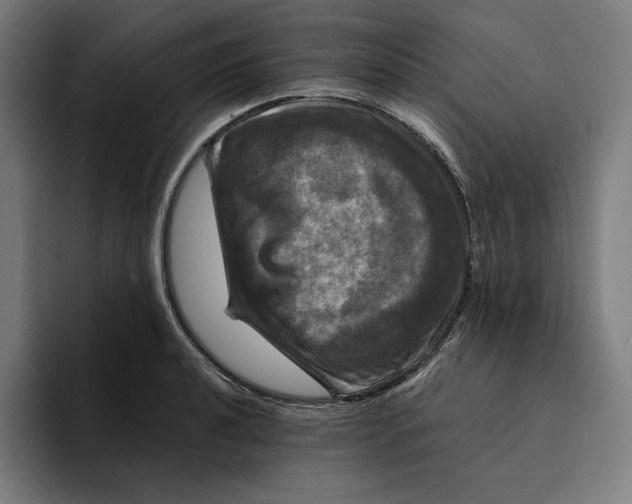 X0000094901040200712271448