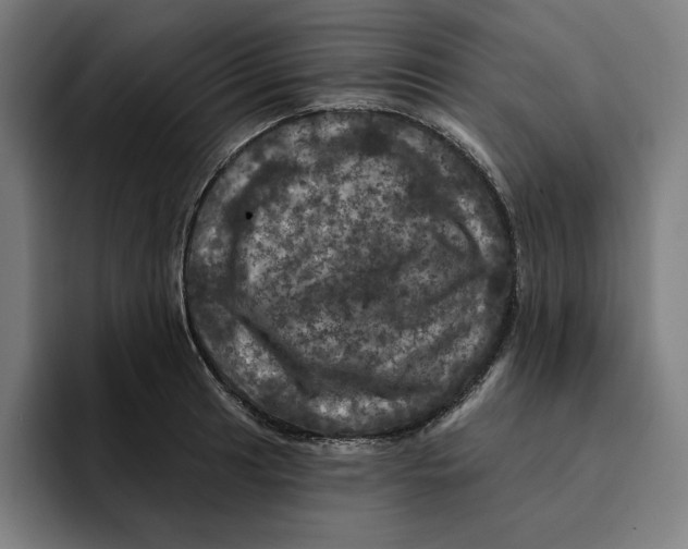 X0000094901041200712271448