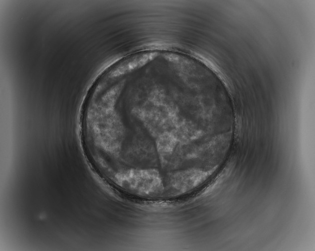 X0000094901042200712271448