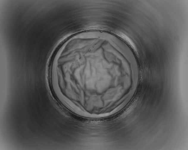 X0000094901043200712271448