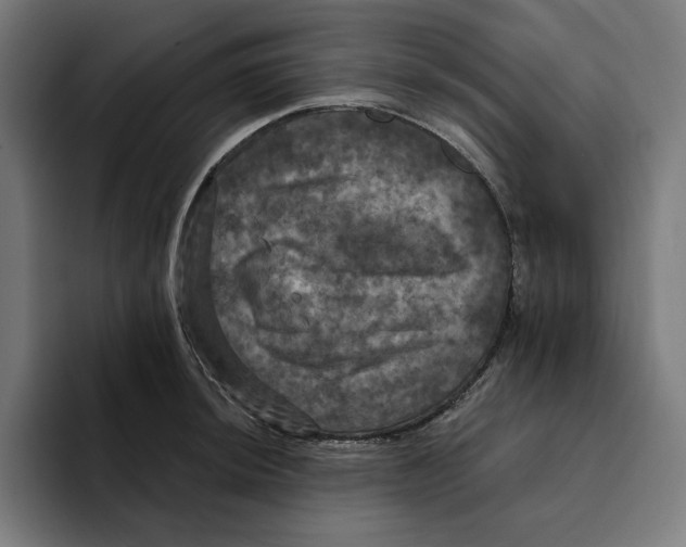 X0000094901044200712271448