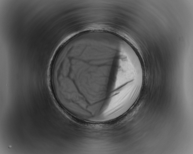 X0000094901045200712271448