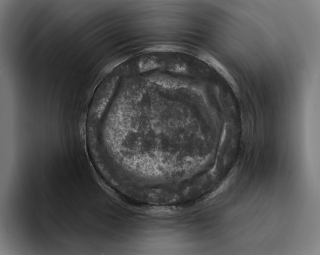 X0000094901049200712271448