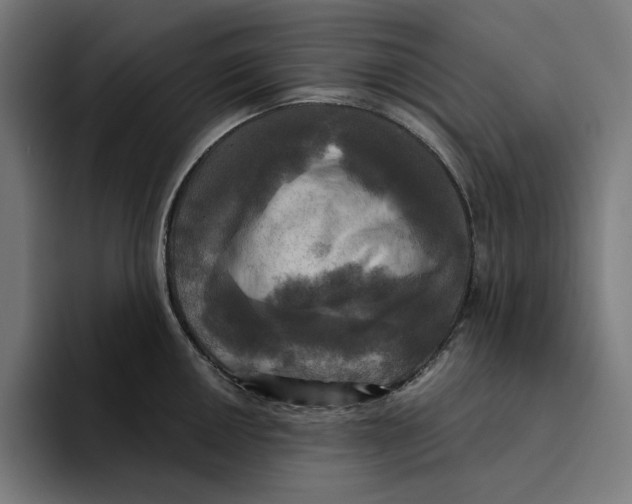 X0000094901050200712271448