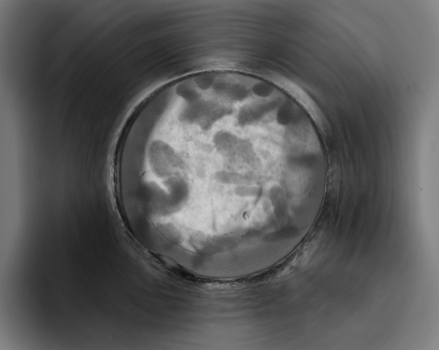 X0000094901051200712271448