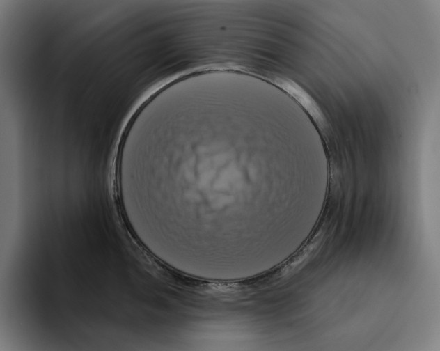 X0000094901052200712271448