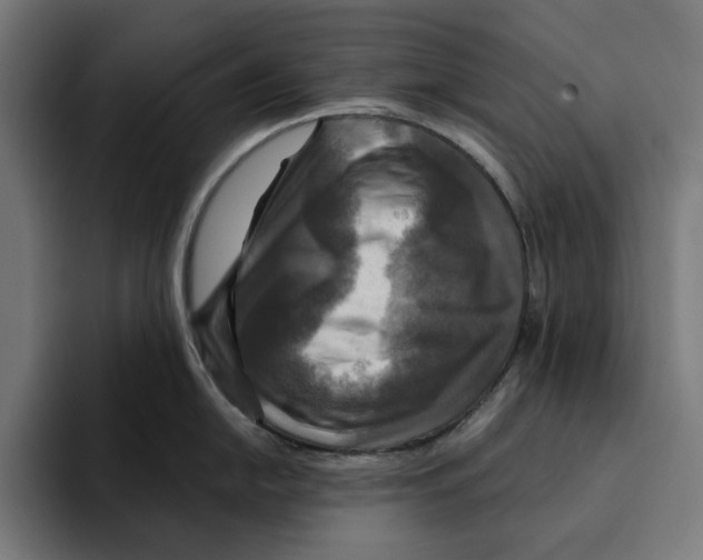 X0000094901054200712271448