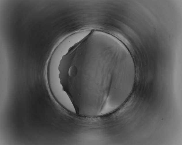 X0000094901055200712271448