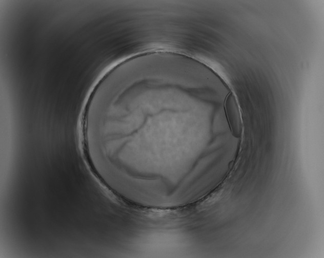 X0000094901056200712271448