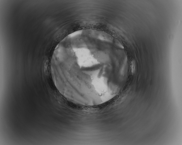 X0000094901059200712271448