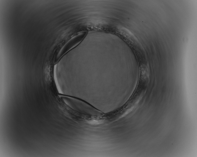 X0000094901060200712271448