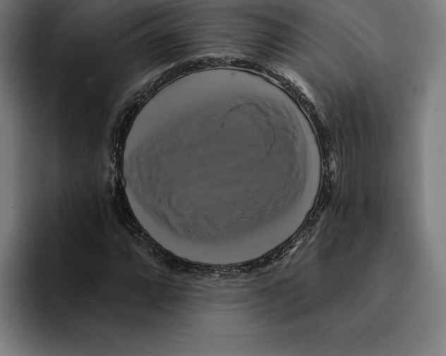 X0000094901064200712271448