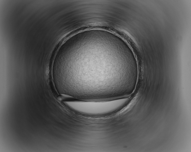 X0000094901065200712271448