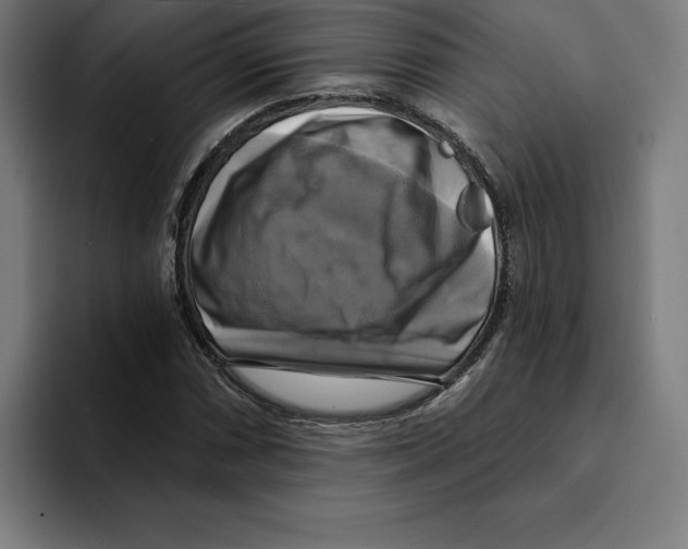 X0000094901066200712271448