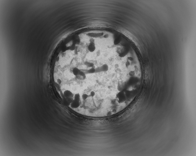 X0000094901067200712271448