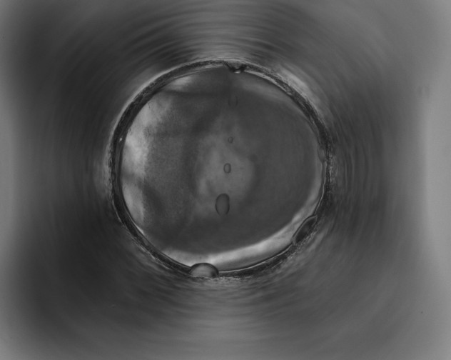 X0000094901068200712271448