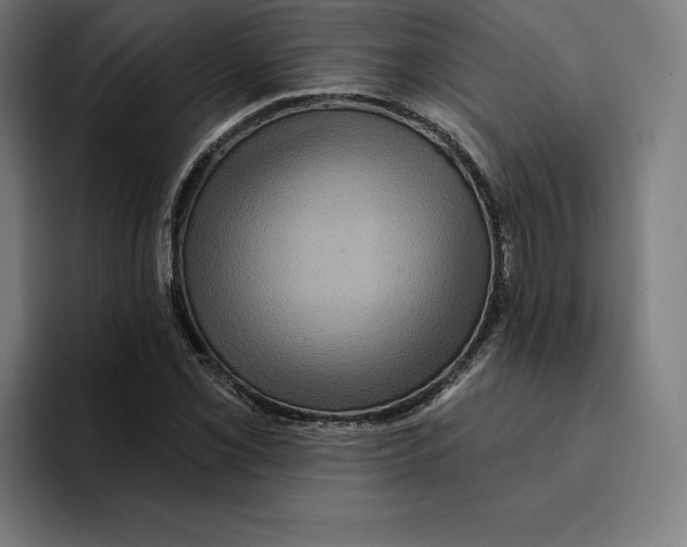 X0000094901069200712271448