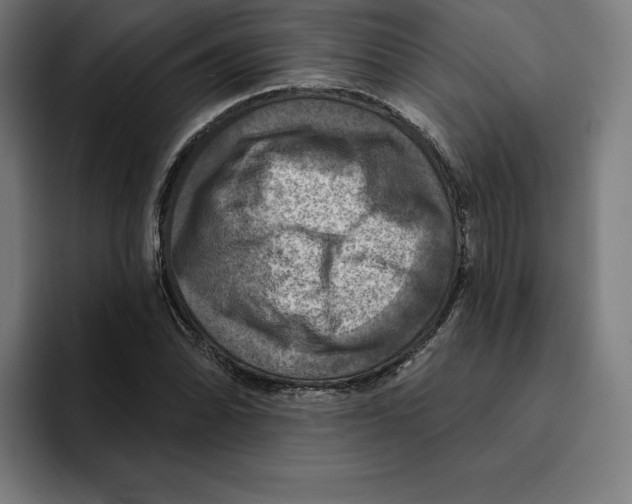 X0000094901070200712271448