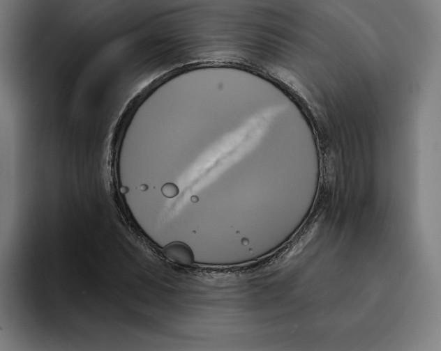 X0000094901071200712271448