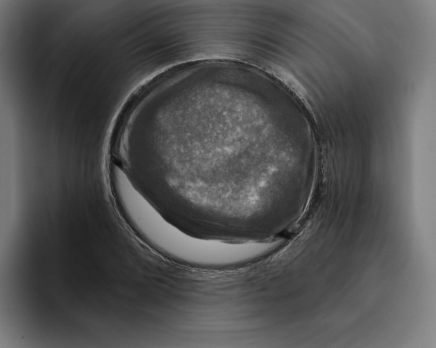 X0000094901072200712271448