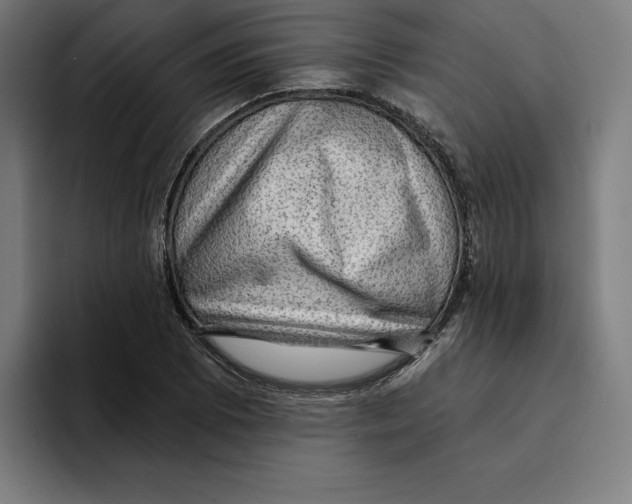 X0000094901073200712271448