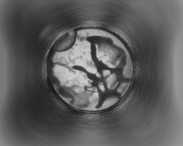 X0000094901075200712271448