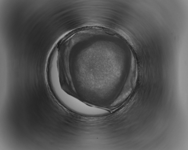 X0000094901076200712271447