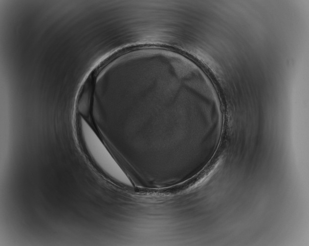 X0000094901077200712271447