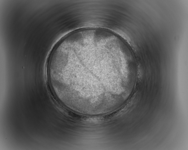 X0000094901078200712271447