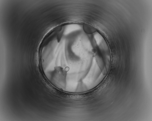 X0000094901079200712271447