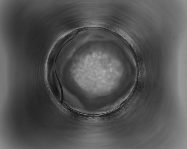 X0000094901080200712271447