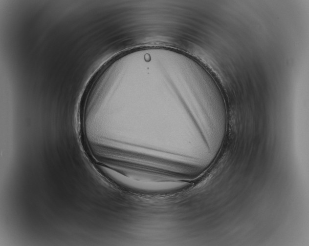 X0000094901082200712271447