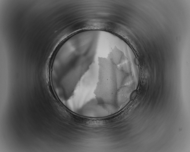 X0000094901083200712271447