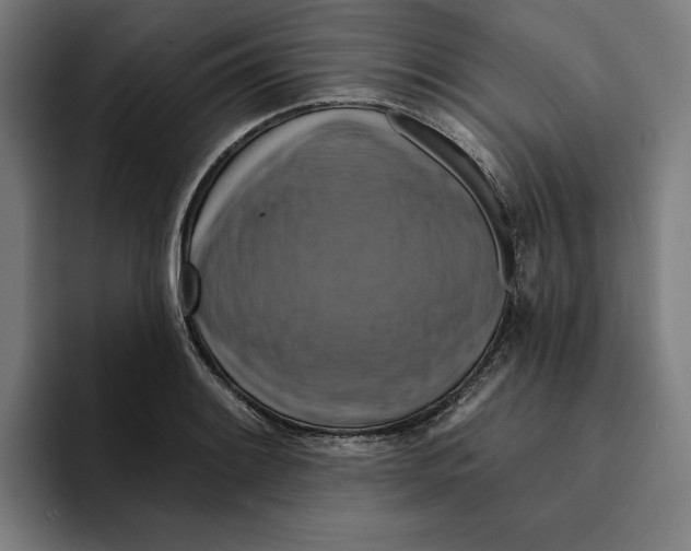 X0000094901084200712271447