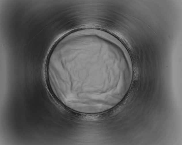 X0000094901086200712271447