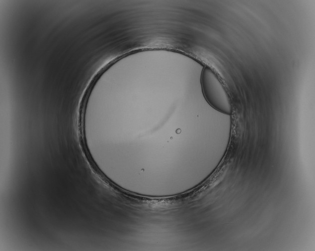 X0000094901087200712271447