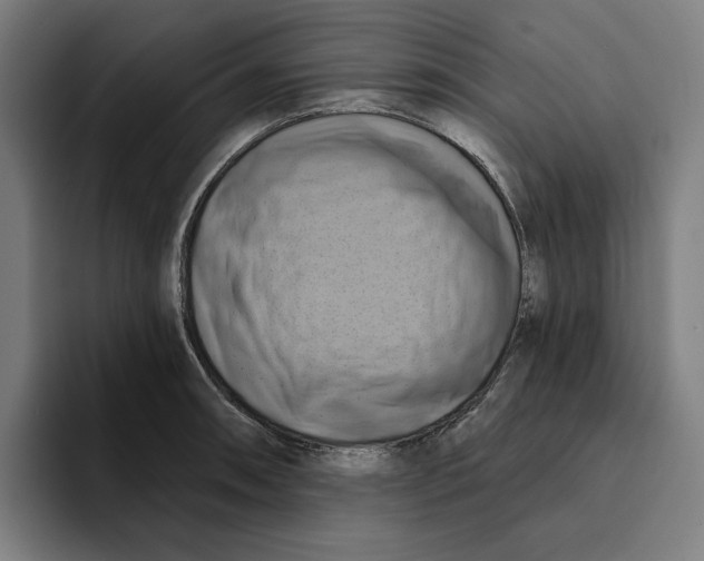 X0000094901090200712271447