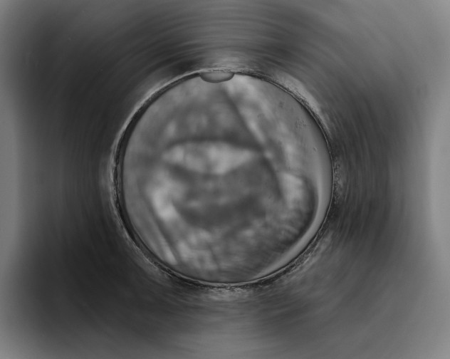 X0000094901091200712271447