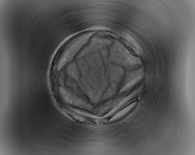 X0000094901092200712271447