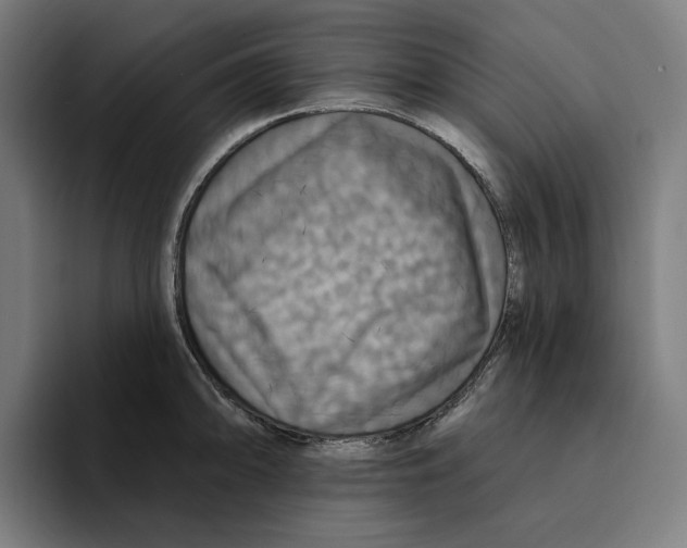 X0000094901094200712271447