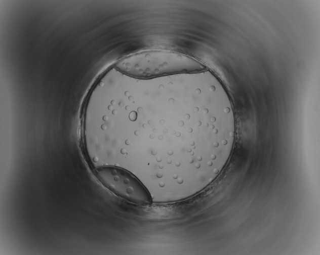 X0000094901095200712271447