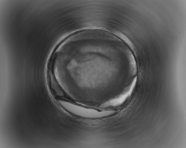 X0000094901096200712271447