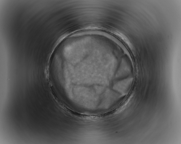 X0000094901097200712271447