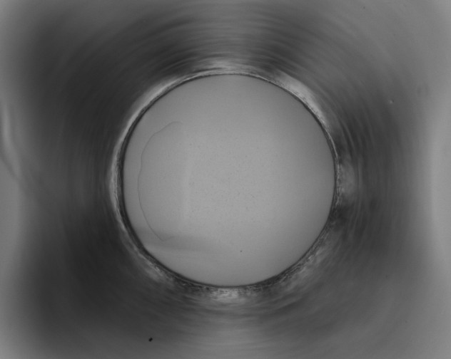 X0000094901098200712271447