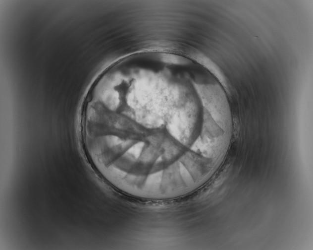 X0000094901099200712271447